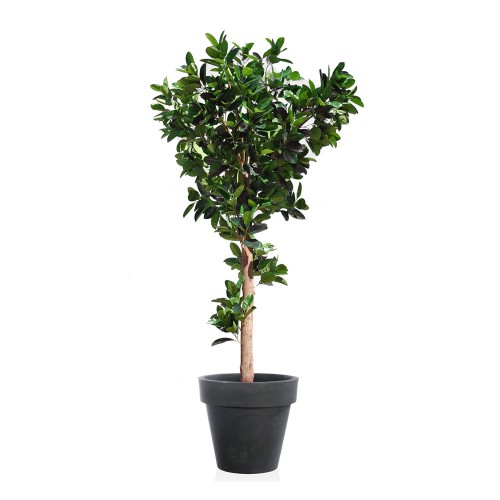 Planta semi-artificiala Ila, Ficus Elastica Gigantea Green - 400 cm